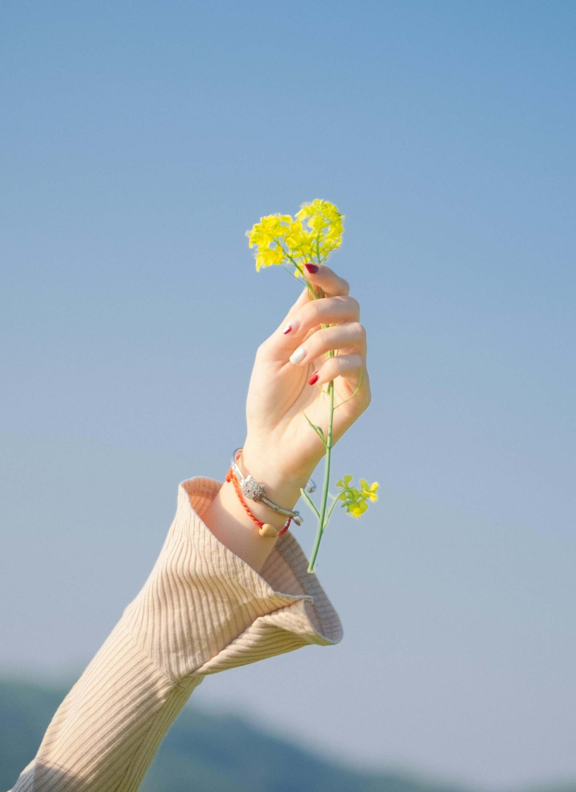 The most useful things for you